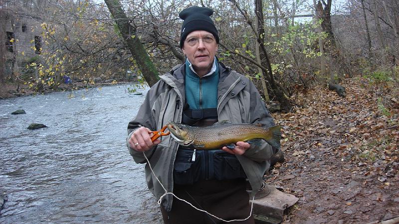 Pretty Male Brown.JPG